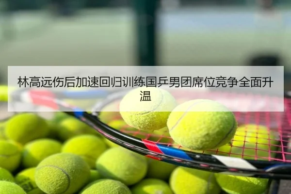 林高远伤后加速回归训练国乒男团席位竞争全面升温