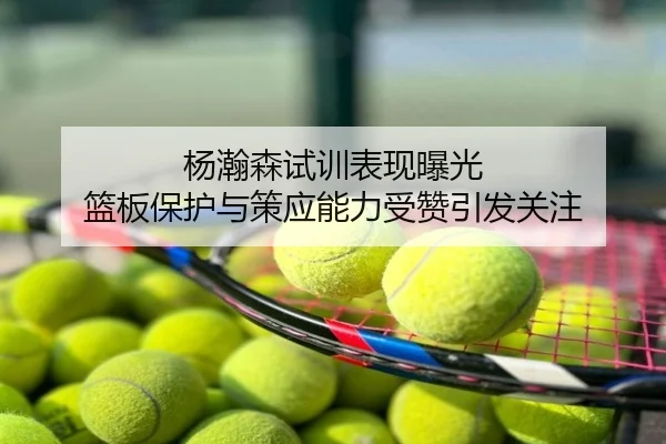 杨瀚森试训表现曝光 篮板保护与策应能力受赞引发关注